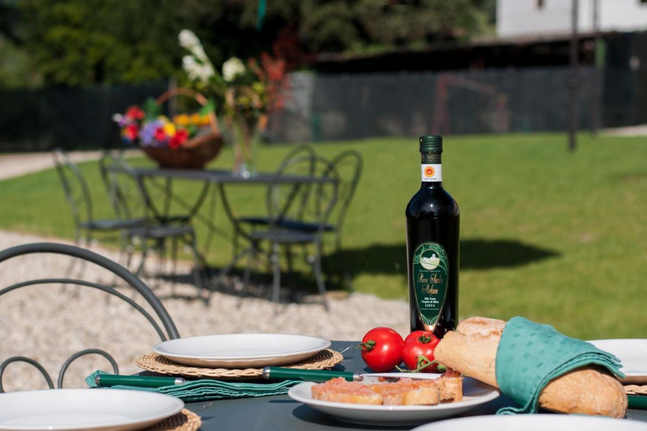 Agriturismo Villa Sardini ルッカ エクステリア 写真