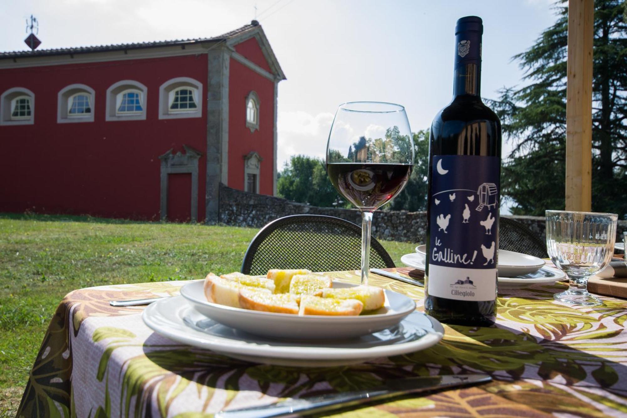 Agriturismo Villa Sardini ルッカ エクステリア 写真