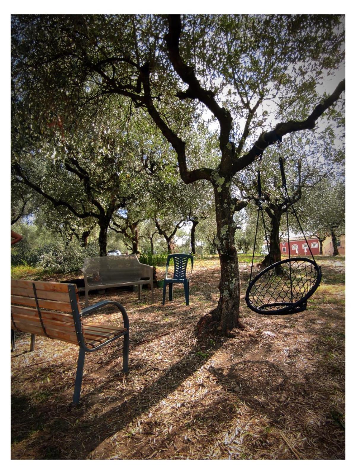 Agriturismo Villa Sardini ルッカ エクステリア 写真