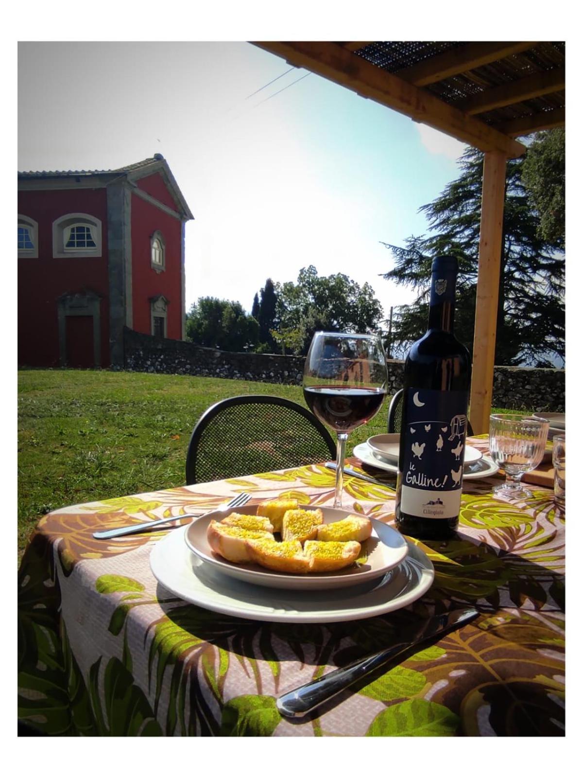 Agriturismo Villa Sardini ルッカ エクステリア 写真